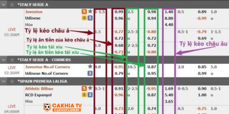 Hướng dẫn người chơi mới cách đọc kèo châu Âu