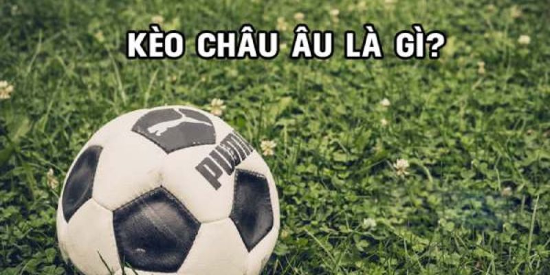 Tìm hiểu sơ lược về loại hình cược châu Âu